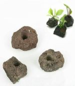 ⁦الزراعة على اللافا روك⁩ - الصورة ⁦2⁩