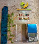 ⁦Hemianthus micranthemoides ( H M ) كاربت hm اتش ام⁩ - الصورة ⁦9⁩