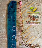 ⁦Rotala H.A.R VIETNAM روتالا فيتنام⁩ - الصورة ⁦10⁩