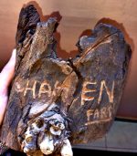 ⁦اعمال النحت و المينى كرافت⁩ - الصورة ⁦3⁩