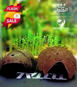 ⁦اعمال النحت و المينى كرافت⁩ - الصورة ⁦6⁩