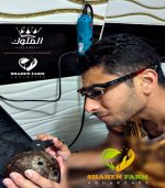 ⁦اعمال النحت و المينى كرافت⁩ - الصورة ⁦2⁩