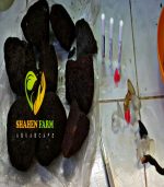 ⁦اعمال النحت و المينى كرافت⁩ - الصورة ⁦8⁩