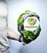 ⁦اعمال النحت و المينى كرافت⁩ - الصورة ⁦9⁩