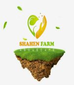 ⁦اعمال النحت و المينى كرافت⁩ - الصورة ⁦10⁩