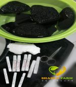 ⁦اعمال النحت و المينى كرافت⁩ - الصورة ⁦11⁩