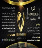 ⁦Groot backt Premium plus باكتيريا جروت باكت بريميوم بلس⁩ - الصورة ⁦14⁩