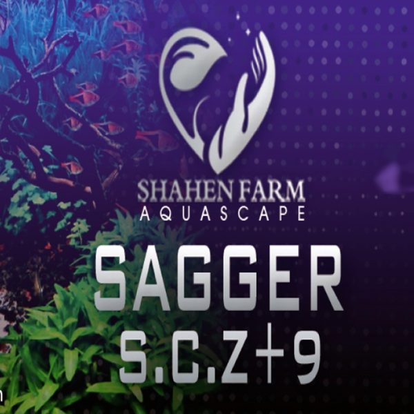 SAGGER S.C.Z+9