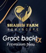 Groot backt Premium plus باكتيريا جروت باكت بريميوم بلس