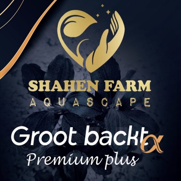 Groot backt Premium plus باكتيريا جروت باكت بريميوم بلس