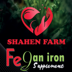 Fegan iron supplements الحديد