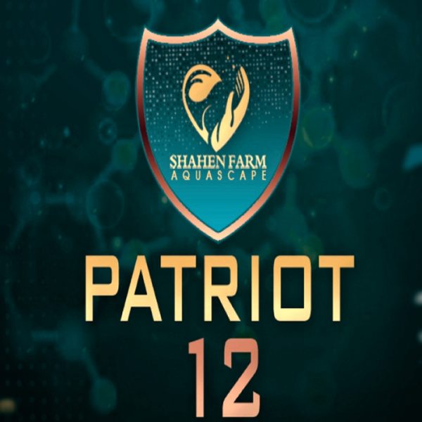 PATRIOT 12