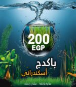 باكدج 200ج اسكندرانى