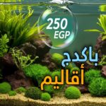 باكدج ال 250ج اقاليم