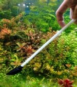 ⁦Substrate Spatula معلقة ركيزة⁩ - الصورة ⁦3⁩