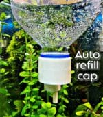 ⁦Auto refill cap 10 // 6mmغطاء معوض البخر تلقائى⁩ - الصورة ⁦4⁩