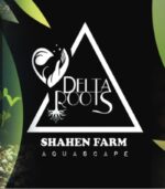 Delta Roots دلتا روتس