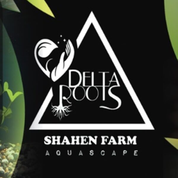 Delta Roots دلتا روتس