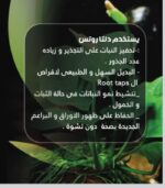 ⁦Delta Roots دلتا روتس⁩ - الصورة ⁦2⁩