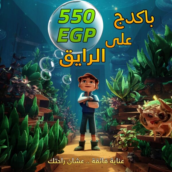 باكدج 550ج على الرايق