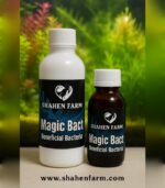 ⁦Magic Bact ماجيك باكت⁩ - الصورة ⁦2⁩