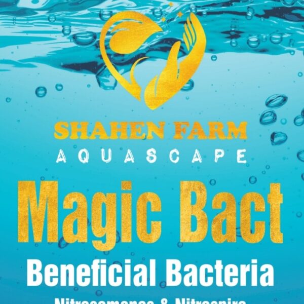Magic Bact ماجيك باكت