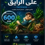 باكدج على الرايق