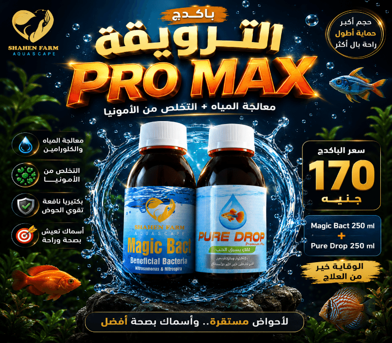 file_00000000342c724385346502b65be6ba Pro Max باكدج الترويقة - الصورة 2